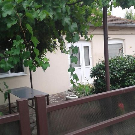 Casa Didina Fosta Pensiune Casa Didina Otel Bacău Dış mekan fotoğraf